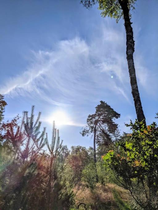 Sfeervol Chaletje In Een Rustige Bosrijke Omgeving Diessen Buitenkant foto
