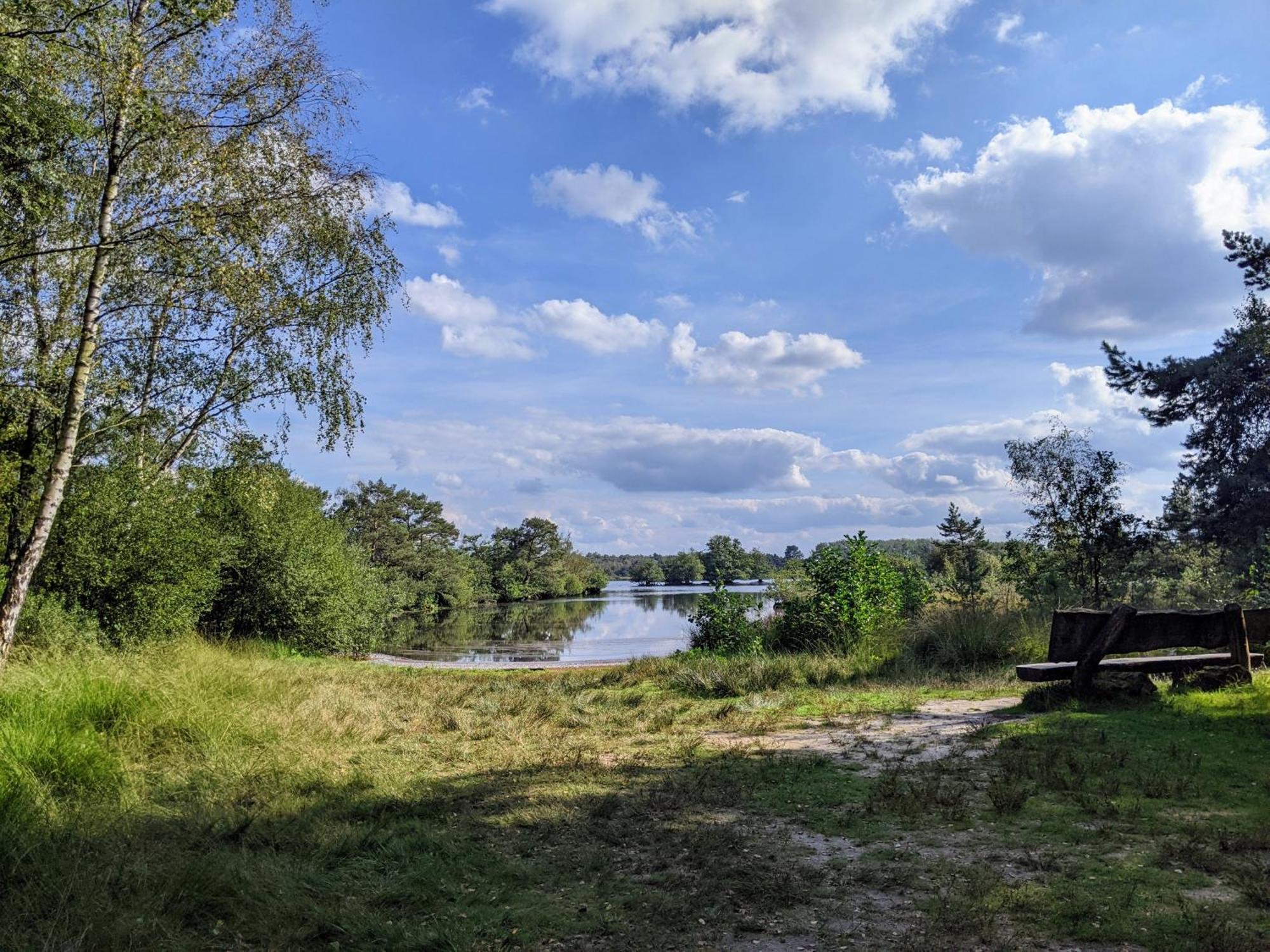 Sfeervol Chaletje In Een Rustige Bosrijke Omgeving Diessen Buitenkant foto