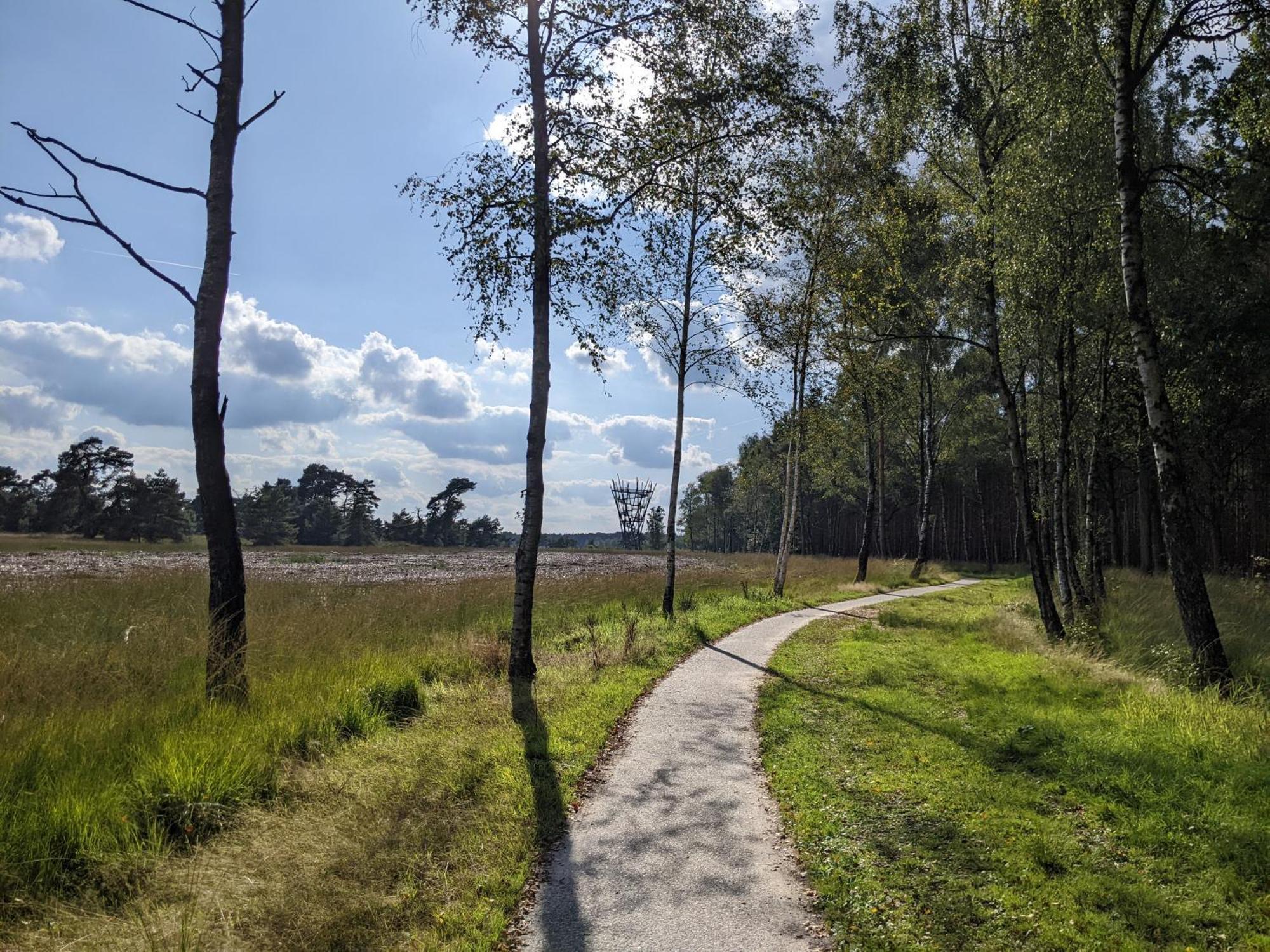 Sfeervol Chaletje In Een Rustige Bosrijke Omgeving Diessen Buitenkant foto